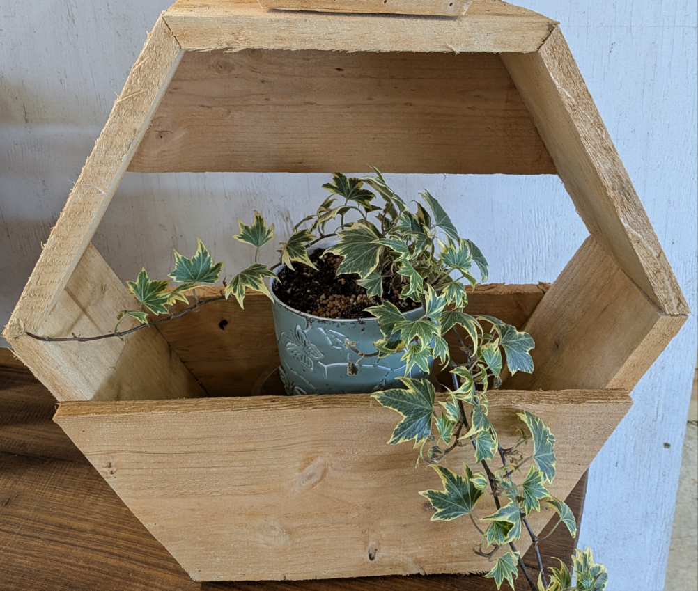 Hexagon Cedar Planter